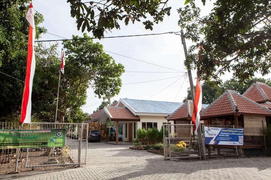 RedDoorz near Baluran National Park 