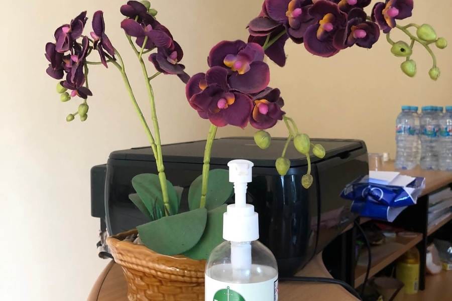 Homestay Mulia Syariah Borobudur Magelang RedPartner