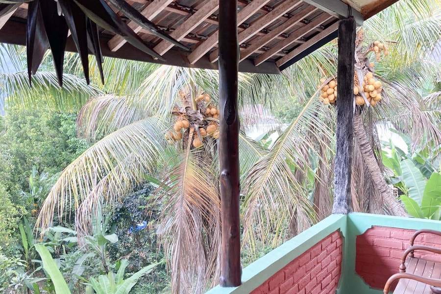 Taman Ayu Homestay Munduk RedPartner