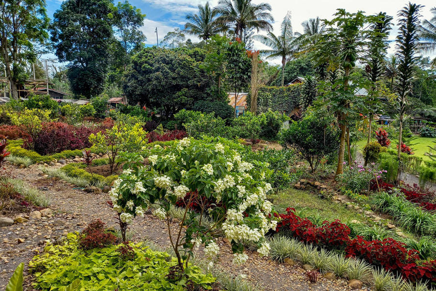 Green Paradise Pagar Alam Resort