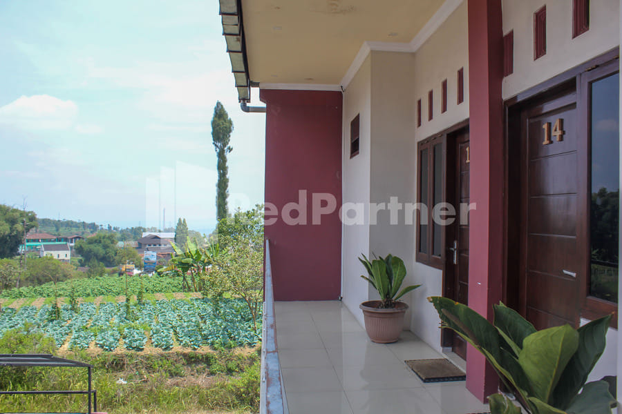 Hotel Baby Angel Dieng Mitra RedDoorz