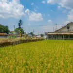Anane Malioboro Homestay RedPartner