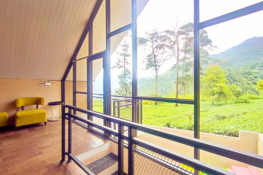 Napoleon Hills Tambi Tea Gardens View RedPartner