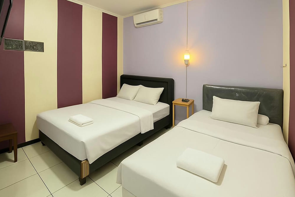 Deluxe Twin Room