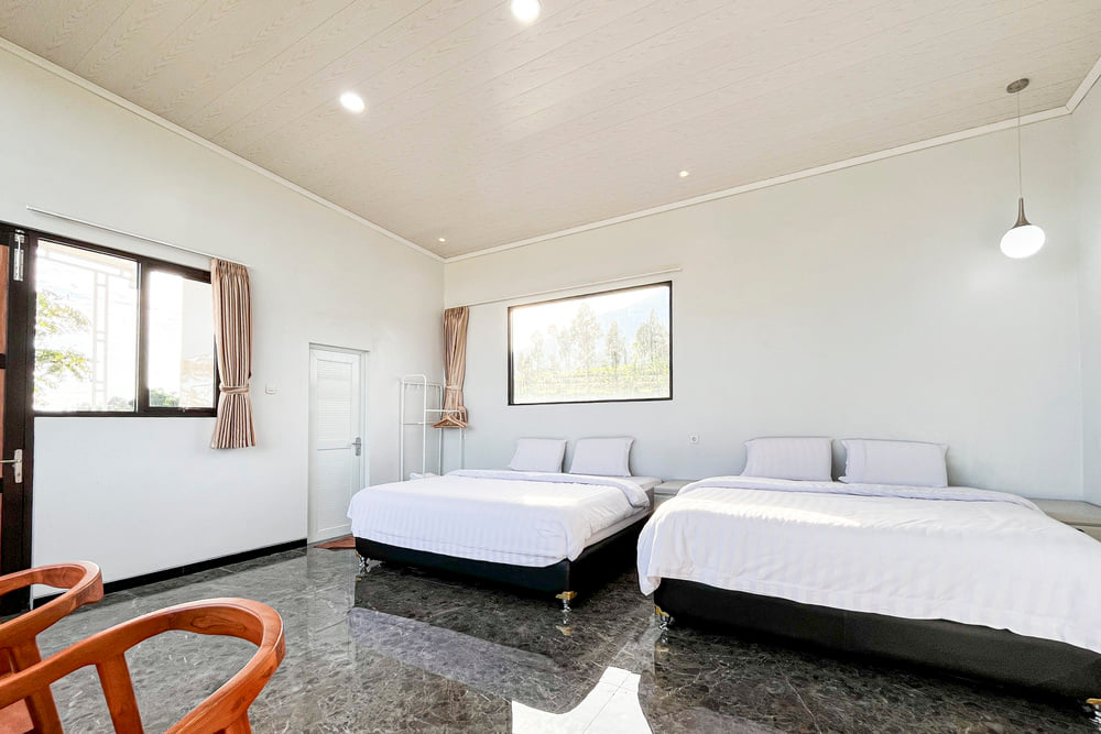 Suite Room