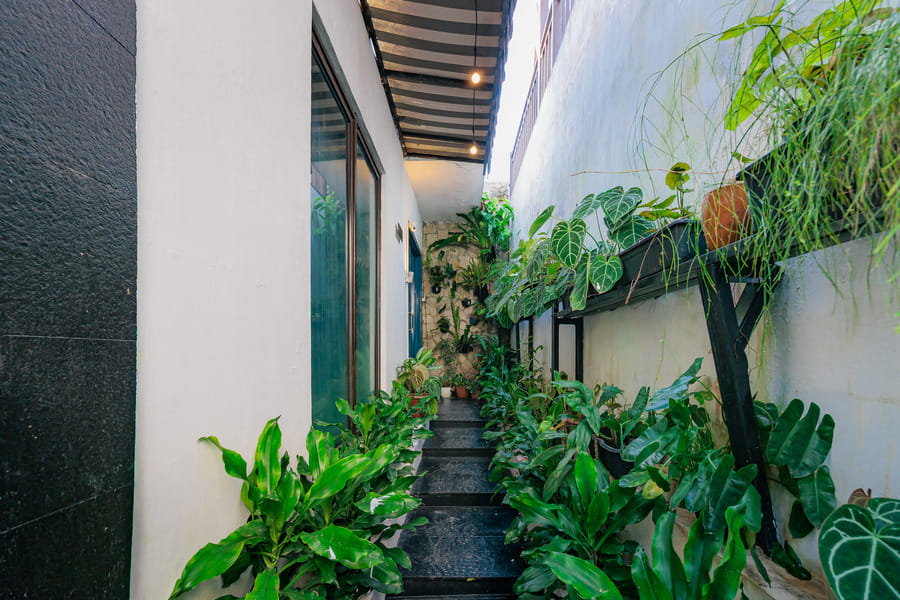 The Lavana Signature Casa Aleggro