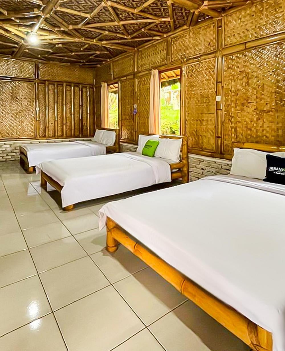 Suite Room